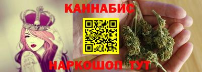 индика Обь