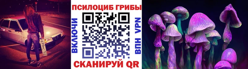 Псилоцибиновые грибы прущие грибы  Мурино 