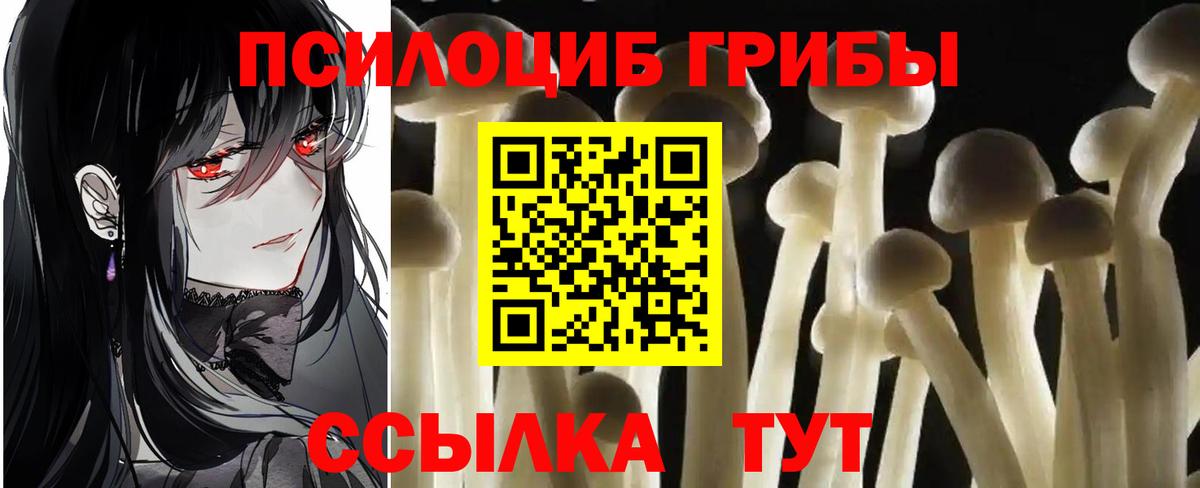 Псилоцибиновые грибы мухоморы Мурино